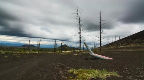 Time Lapse. Dead forest. "Helicopter" Tourist parking. Kamchatka, Russia. Stock Footage 68592635