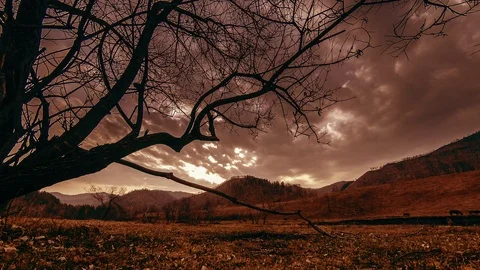 Time lapse of death tree and dry yellow grass at mountian landscape with clouds Stock Footage 107868380