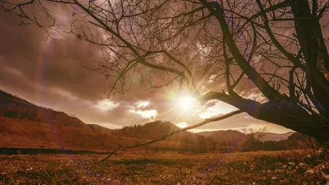 Time lapse of death tree and dry yellow grass at mountian landscape with clouds Stock Footage 156806684
