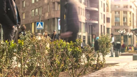 Time lapse defocused many people in city traffic hurrying about their business.  Stock Footage 236226680