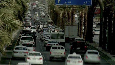 Time lapse of a dense vehicle queue on a palm lined road 動画素材 346425379
