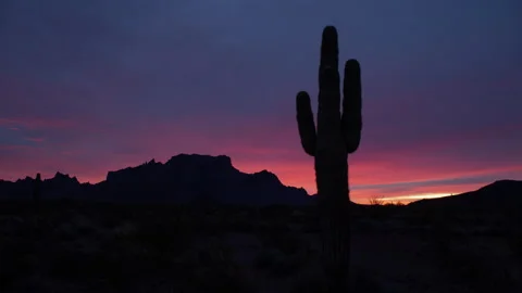 Time lapse of a desert cactus and mountains silhouetted by colorful dawn clouds Stock Footage 144583765