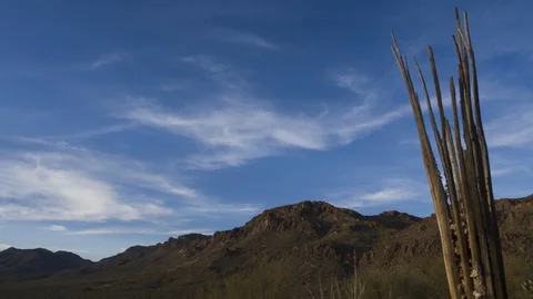 Time lapse of desert mountains, clouds and saguaro ribs Stock Footage 87331360