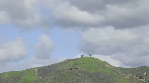 Time lapse of a developing storm over two trees above Ventura, California. Stock Footage 1019371