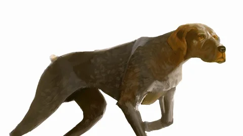 Time lapse of a digital painting of a pointer braque dog, Stock Footage 117231417