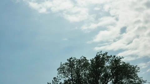 Time lapse of dissolving morning white clouds over a spring tree Vídeos de archivo 240882790