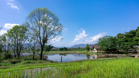 Time lapse of distant mountains and sky in Hod, Chiang Mai, Thailand Stock Footage 228975635