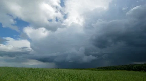 Time-lapse dramatic sky and wheat field. Stock Footage 64701900