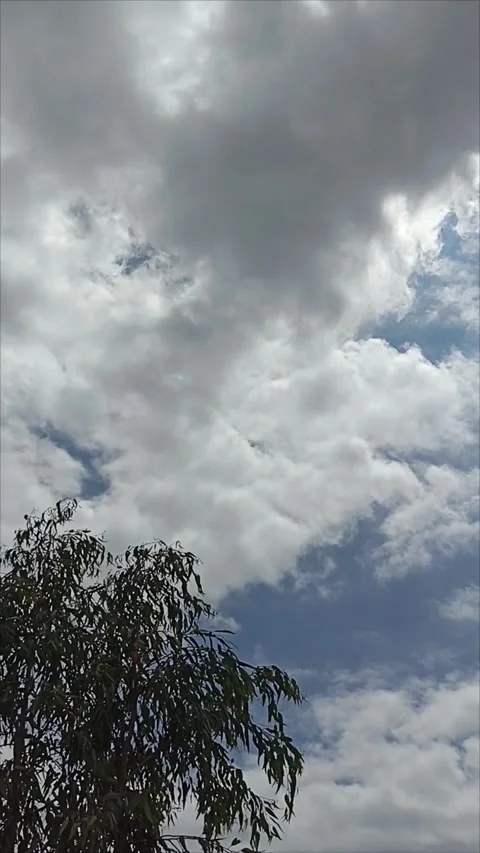 Time-lapse of dramatic storm clouds moving fast over trees against blue sky Stock Footage 334953350