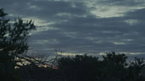 Time lapse of dramatic sunset clouds fading to dark over silhouette trees at Stock Footage 346073320