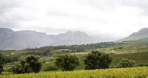 Time lapse of drifting clouds over wine farm during windy weather Vídeo Stock 151002602