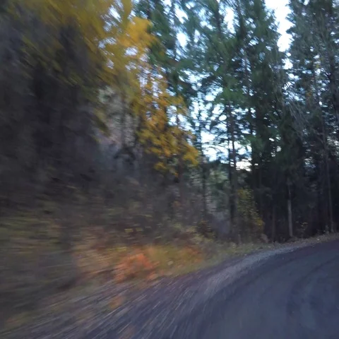 Time lapse Driving Stock Footage 69703406