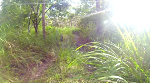 Time Lapse Driving in Remote Bushland Stock Footage 33194144