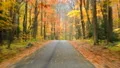 time lapse driving single lane in forest autumn colors 4k or 4k+ Resolution