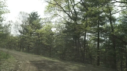 Time lapse Driving through George Washington National Forest, Virginia Video stock 112575899