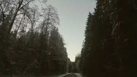 Time Lapse Driving Through Trees Snow Road Trip Travel Drive POV Stock Footage 139430940