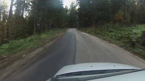 Time lapse driving trough forest Stockbeeldmateriaal 45871969
