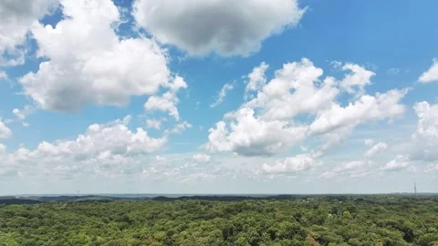 Time-lapse drone view over green trees in the woods with a beautiful blue sky an Stock Footage 315411173