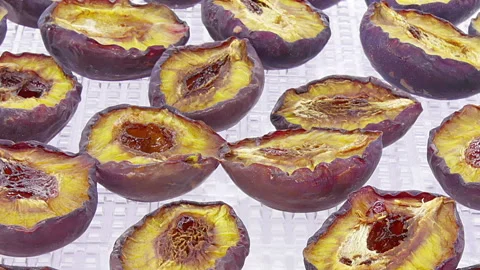 Time lapse of drying blue plum Stock Footage 306946348