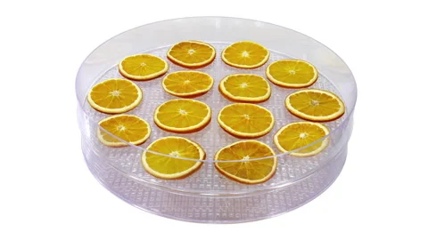 Time lapse of drying orange fruit in dehydrating mashine Stock-Footage 311689505