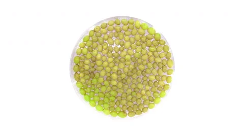 Time-lapse of drying white grape (UHD 4K), top view Stock Footage 63591003