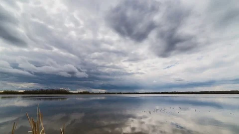 Time lapse of ducks in a lake with multiple layers of clouds moving in different Stock Footage 74539629