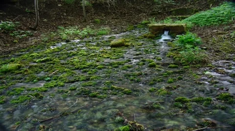 Time lapse during the creek. Stock Footage 65056179