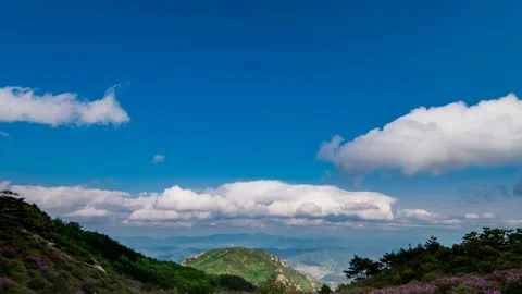 Time lapse. Dynamic change of clouds after rain Stock Footage 145890299