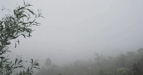 Time lapse of elevated bridge appearing through the mist Stock Footage 277389970
