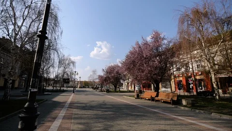 TIME LAPSE - empty city square in spring Stock Footage 127495511