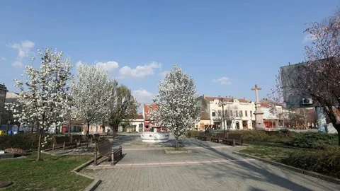 TIME LAPSE - an empty city square with blooming trees - COVID 19 Stock Footage 127496573