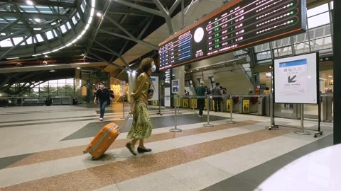 The time lapse of the entrance gate in high speed rail station. Stock Footage 224140840