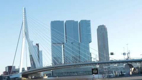Time lapse of Erasmus bridge, people walking around Stock Footage 101500724