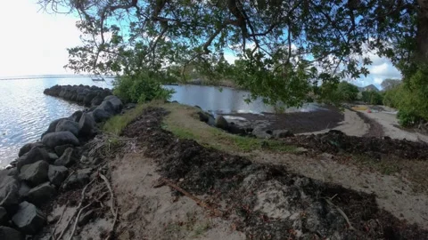 Time lapse of an exotic beach in martinique caribe france 360 rotation in a Stock Footage 341553828