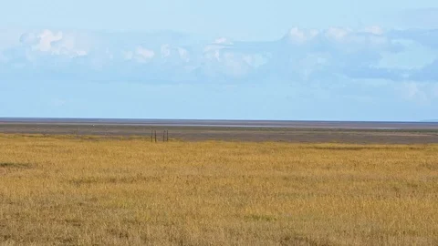 Time lapse of extensive salt marsh habitat, with passing clouds. Stock Footage 119971618