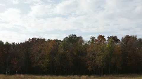 Time Lapse - Fall prairie, trees, clouds Stock Footage 12246430