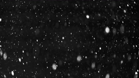 Time lapse of falling snow, snowstorm at black christmas night with flying snowf Stock-Footage 164991916