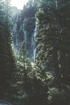 Time Lapse Falls on Forest Trees Stock Photos