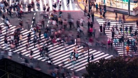 Time-lapse of the famous scramble intersection in Shibuya, Tokyo Stock Footage 84457829