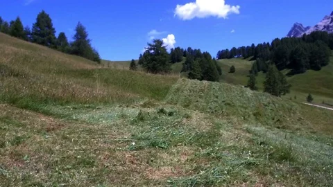 Time lapse farmer mowing lawn, Alta Badia Stock Footage 78750424