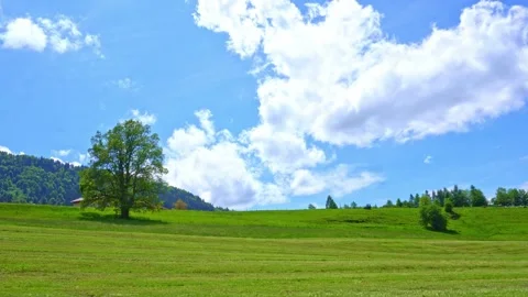 Time lapse fast movement of a tractor across a green field and blue clouds Stock Footage 276379260