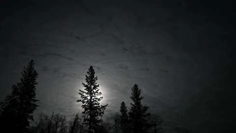 Time-lapse of fast-moving clouds on a moonlit night and silhouettes  Stock Footage 141954222