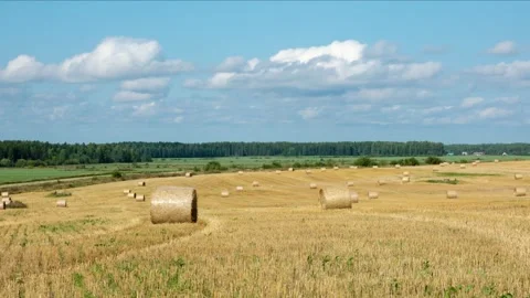 Time lapse with fast moving clouds on blue sky above the field with haystacks Stock Footage 289052645