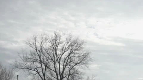 Time lapse of fast moving gloomy clouds over a tree 스톡 동영상 227477181