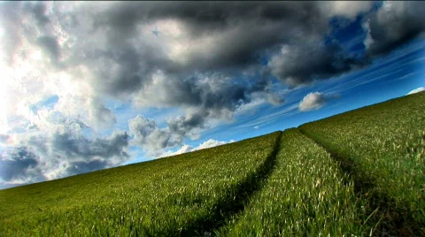 Time-lapse Field Of Dreams Stock Footage 119472