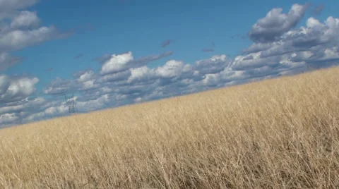 Time Lapse Field Electrical Pole Stock Footage