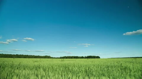Time Lapse Field Sky and Clouds Stock Footage 135930148