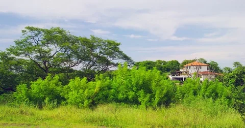 Time Lapse. Field with trees and beautiful sky. Costa Rica. Stock Footage 82922845