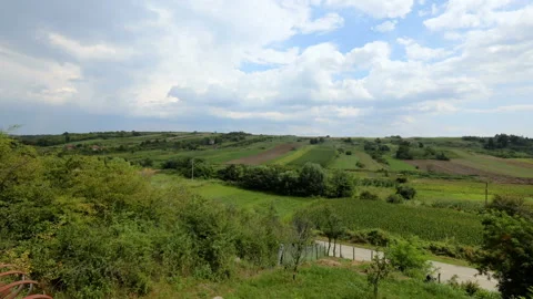 Time lapse of fields of wheat with the clouds dancing in the sky Stock Footage 137718276