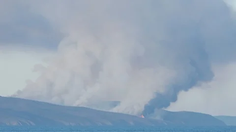 Time lapse of fire in conservation park Stock Footage 108418755